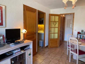 Cosy T2 au calme, proche centre et skibus, garage souterrain, balcon, TV, équipement complet - FR-1-624-90